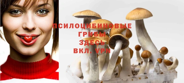 эйфоретик Беломорск