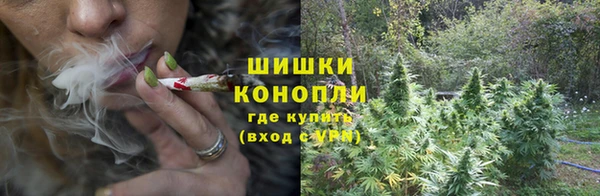 эйфоретик Беломорск