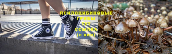 эйфоретик Беломорск