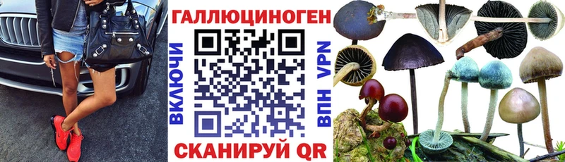 купить наркотики сайты  Бийск  Галлюциногенные грибы Psilocybe 