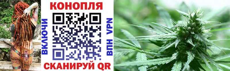 Шишки марихуана OG Kush  MEGA как зайти  Бийск  наркота 